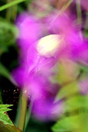 PICT7165