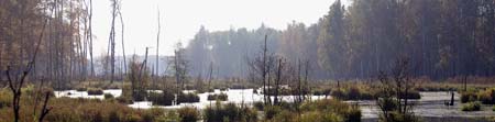 PICT9335a