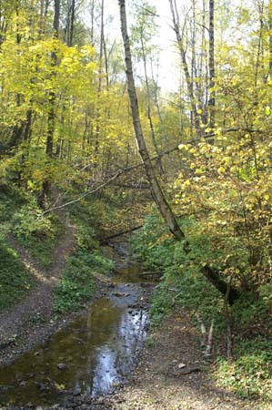 PICT0761