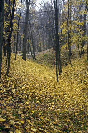 PICT0978