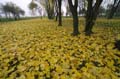 PICT0872