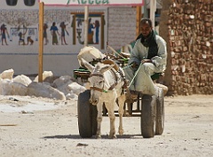Der Eselskarren  Der Esel ist immer noch ein Transportmittel.