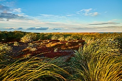 Bleaker Island