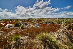 Bleaker Island