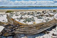 Sea Lion Island