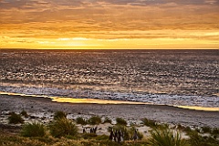 Sea Lion Island