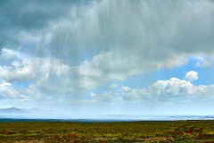 Pebble Island