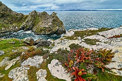 East Falkland (Main Island)