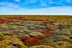 Bleaker Island