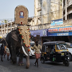 Fahrt nach Guruvayoor