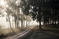 Nagarhole NP