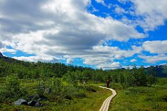 Der Weg  Das ist der Kungsleden! So in etwa wird er uns in Erinnerung bleiben, obwohl das Foto am ersten Tag aufgenommen wurde.