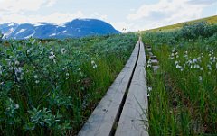 Auch ein Bretterweg erfordert volle Aufmerksamkeit  Der Kungsleden ein Brettersteig, erfodert auch die nötige Aufmerksamkeit beim Gehen. Ich hatte diese nicht und fiel hin, wahrscheinlich weil ein Brett minimal höher war. Knie und Schienbei lediert. Hose verbrannt (von der Reibung beim Gleiten auf den Brettern) und ein Loch.