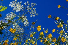 Flora  -   Die Natur bot alles auf, was sie zu bieten hatte. Die Blumen säumten den Weg, als würden wir aus der Kirche von der Trauung kommen und man hätte den Weg für uns geschmückt.