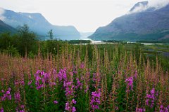 Blick auf den See Padje-Kaitumjaure