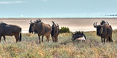 Afrika__99_5388_filtered