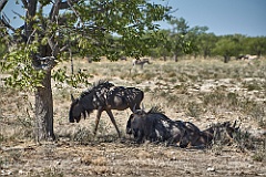 Afrika__99_5403_filtered