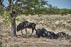 Afrika__99_5404_filtered