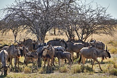 Afrika__99_5662_filtered