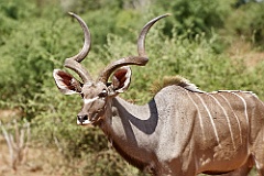 Afrika__99_9106_filtered