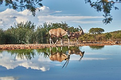 Afrika__99_4860_1_filtered