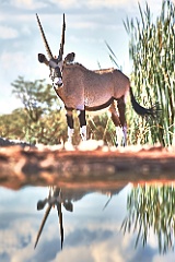 Afrika__99_4874_filtered-geschaerft