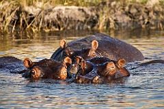 Namibia__99_8335