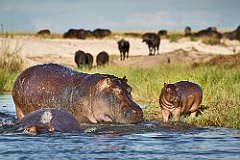 Namibia__99_8593_1