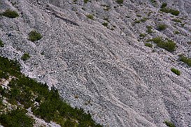 alpenquerung__99_6058 null