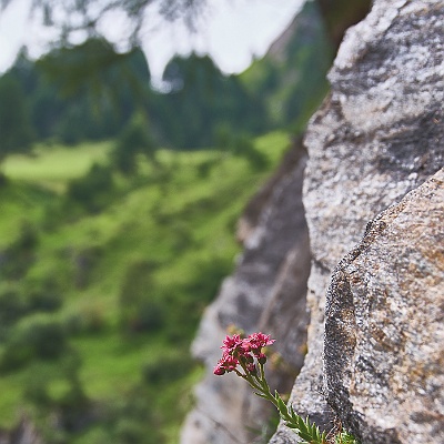 Alpenquerung 99 3963