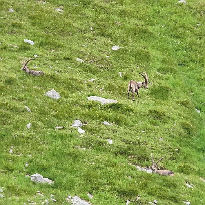 Alpenquerung 99 3873