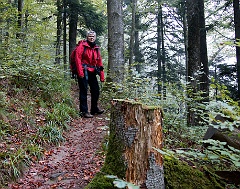 Schluchtensteig  DSC8573