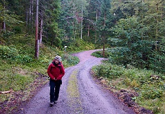 Schluchtensteig  DSC9364