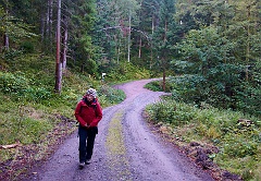 Schluchtensteig  DSC9364