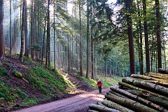 3. Tag - Von St. Blasien nach Lenzkirch