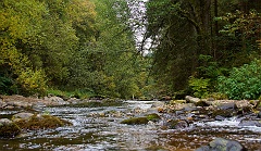 Schluchtensteig  DSC0006