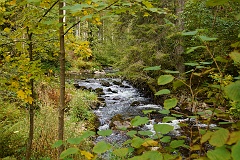 Schluchtensteig  DSC0016