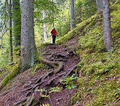 Schluchtensteig  DSC0042