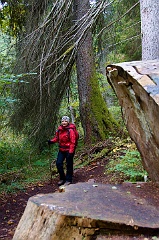 Schluchtensteig  DSC0048