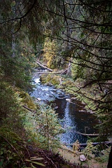 Schluchtensteig  DSC0072