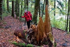 Schluchtensteig  DSC0125