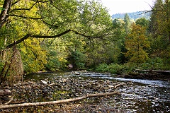 Schluchtensteig  DSC0138