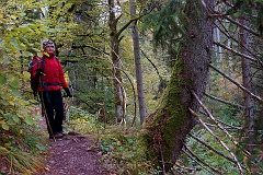 Schluchtensteig  DSC9997