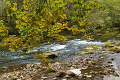 Schluchtensteig  DSC0563