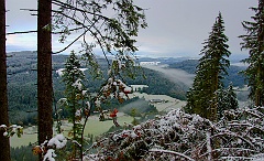 DSC8363