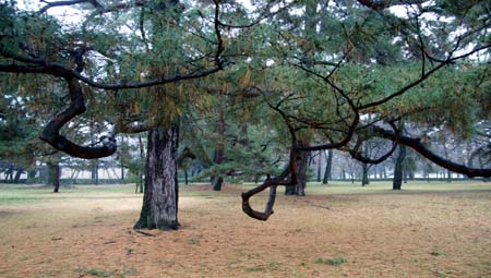 DSC00178