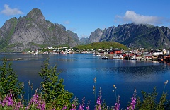 DSC5505