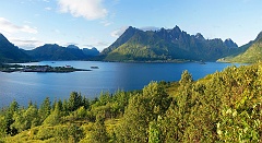 Lofoten 65