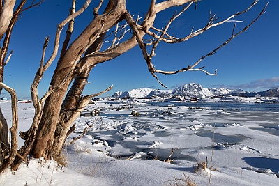 lofoten__99_2264