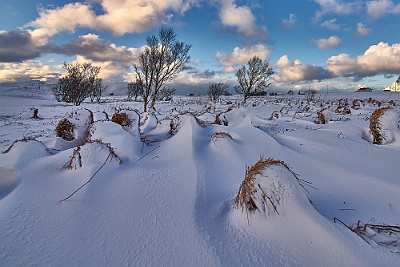 Lofoten__99_1920